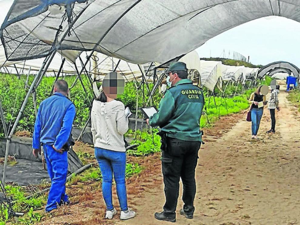 Investigación llevada a cabo por la Guardia Civil en las instalaciones de una explotación agraria.