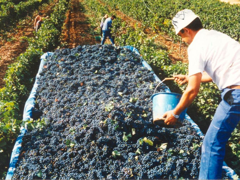 El vino, un buen referente de nuestra provincia.