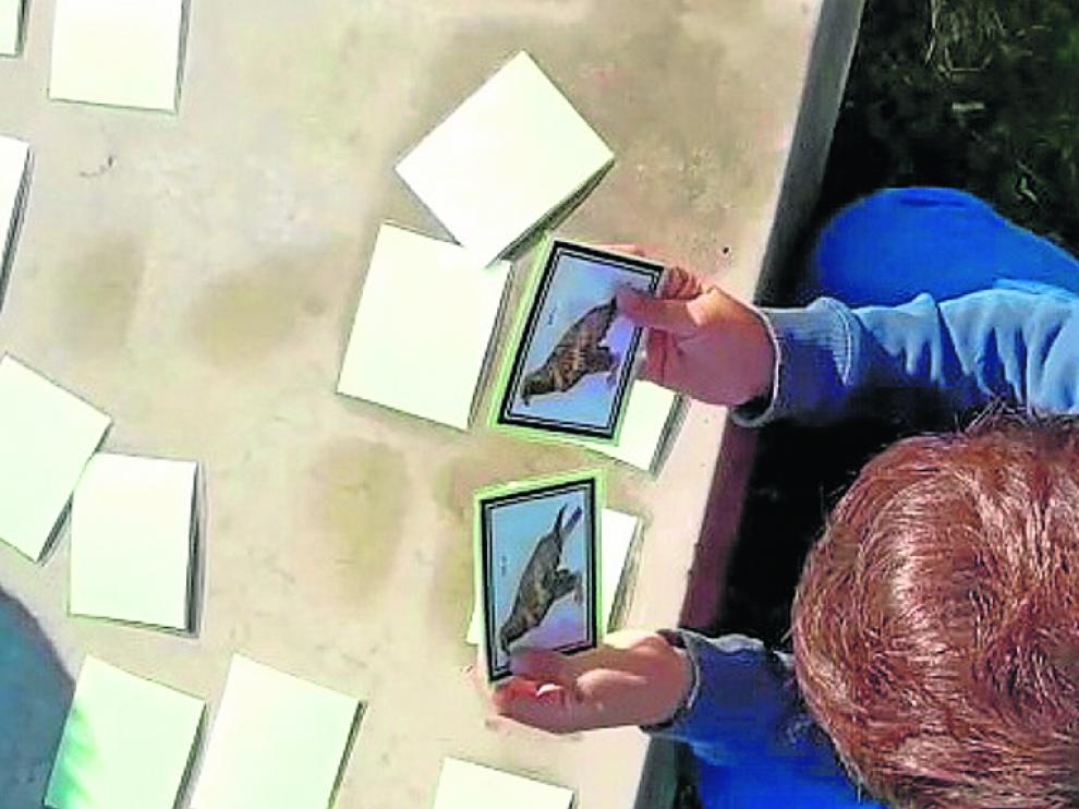Un escolar en uno de los talleres medioambientales realizados en otoño del año pasado.
