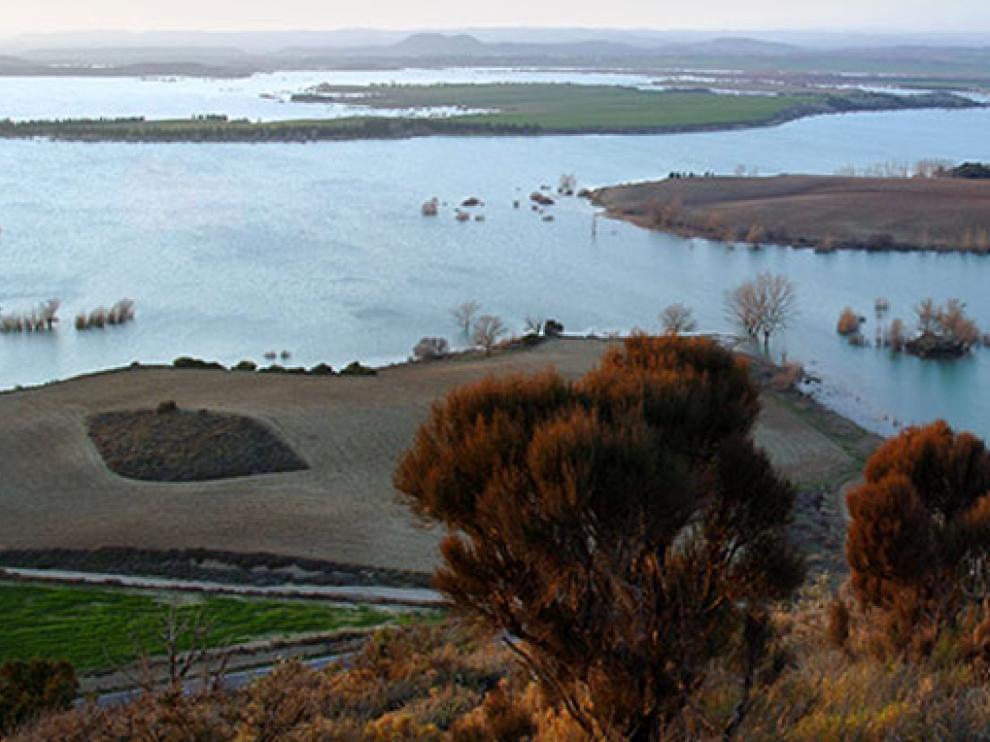 Alberca de Alboré