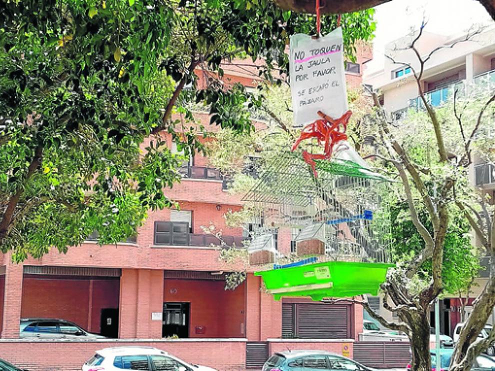 Imagen de la jaula colgada de un árbol de Huesca para recuperar al pájaro que se ha escapado