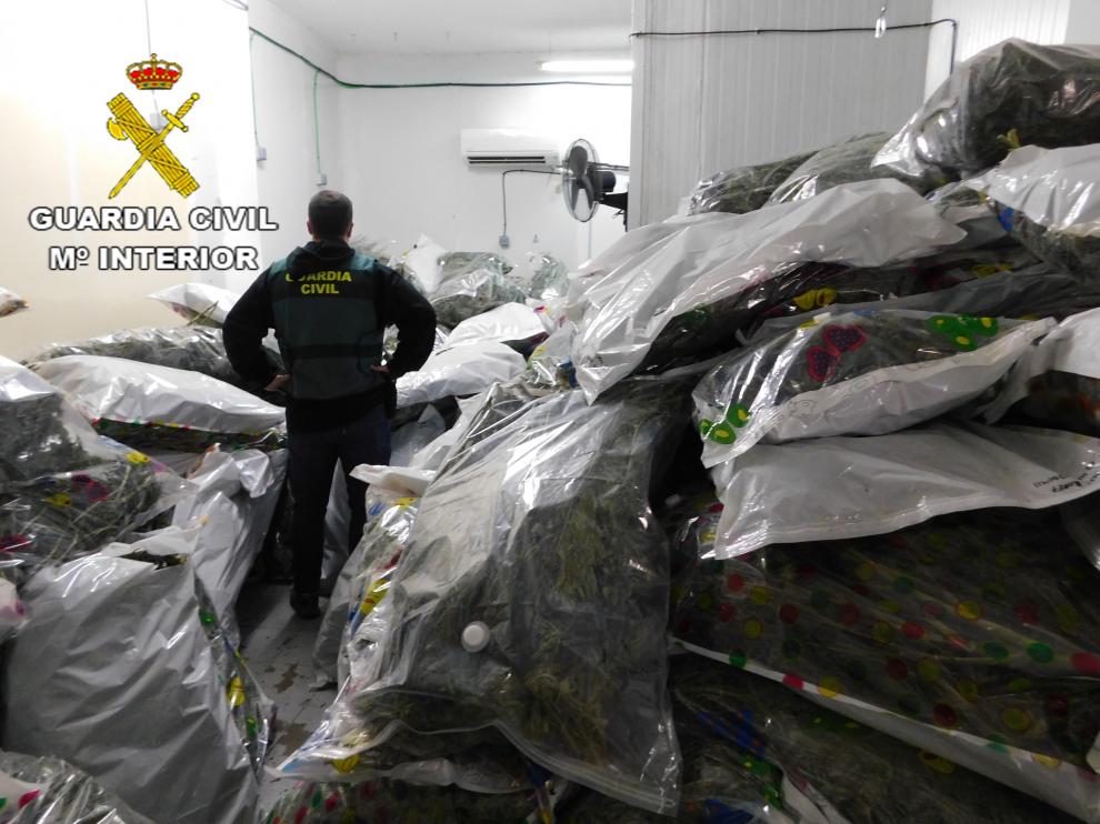 Intervienen más de 700 kilos de marihuana en la segunda fase de la Operación KENEVIR.