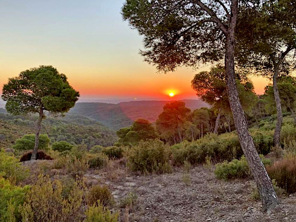 Amanecer en la Sierra de Sijena