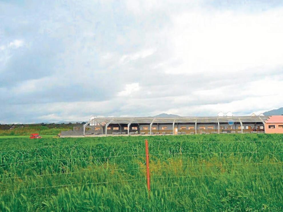 Explotación porcina en Arrés, en cuyo proyecto participó Inagro.