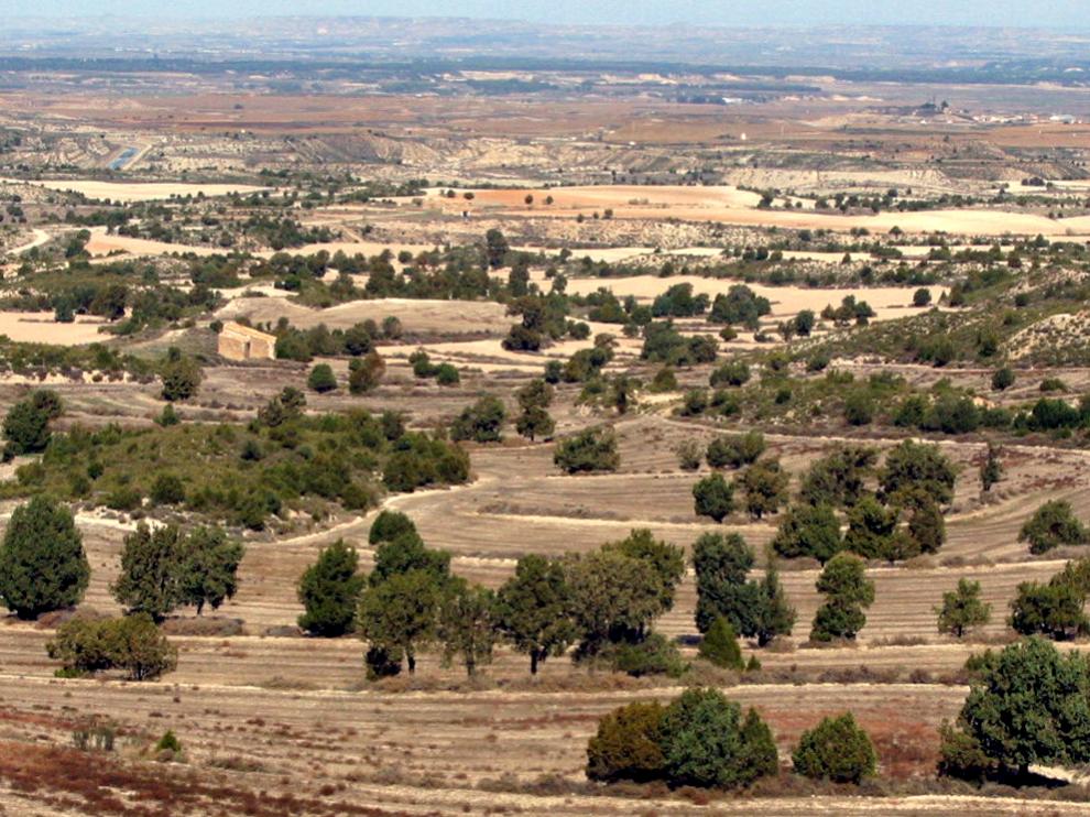 Paisaje de Monegros