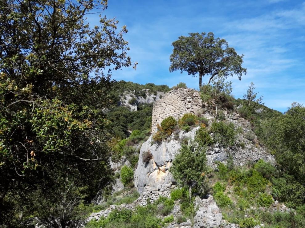 Carrascas en el núcleo de Bárcabo
