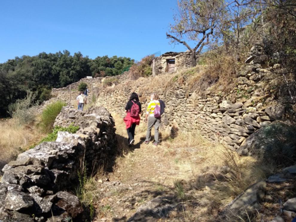 La actividad se desarrollará en Rodellar