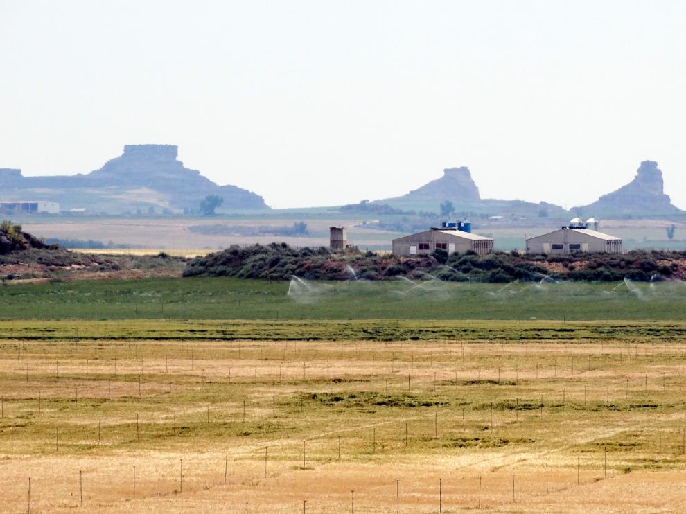 La comarca cuenta con una gran riqueza de espacios agrícolas y naturales.