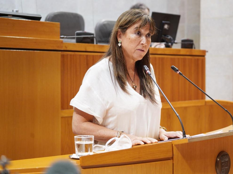 La consejera Sira Repollés en las Cortes.