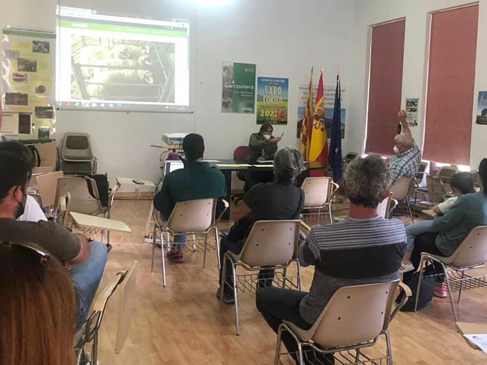 Las subastas de ganado de Expoforga se han celebrado por primera vez en la finca La Garcipollera, del Cita