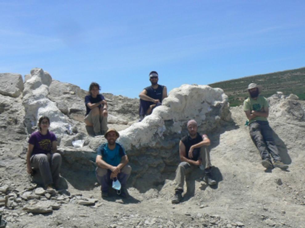 Los paleontólogos posan junto a los fósiles de columna del dinosaurio.