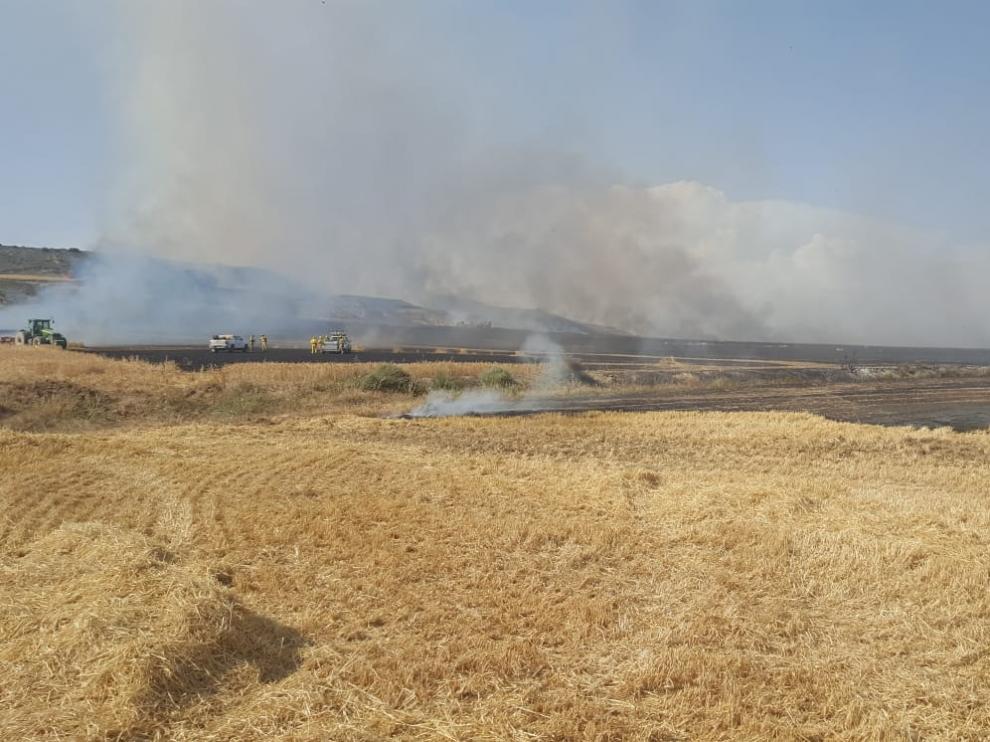 Superficie calcinada esta tarde por el incendio en Almudévar.