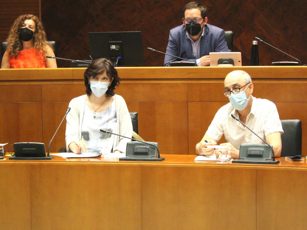 Mara Charro y José Carlos Torralba durante la comparecencia ante la Comisión de las Cortes