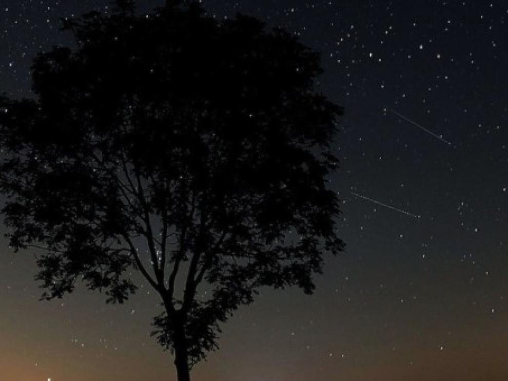 Programa "Caminos de estrellas"