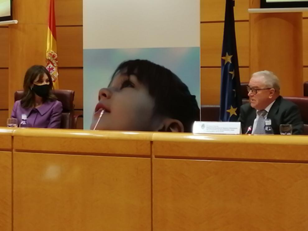 Miguel Gracia, en la mesa redonda en la que participó este miércoles en el Senado.