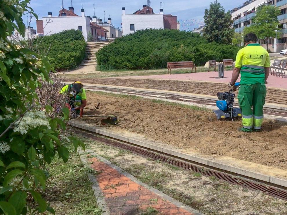 Jardines es una de las áreas productivas más grandes de Arcadia.