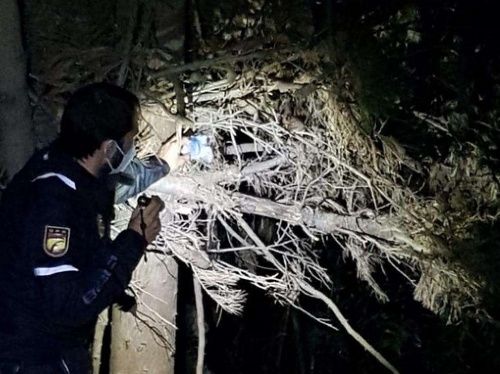 En la foto, el lugar donde escondía la droga