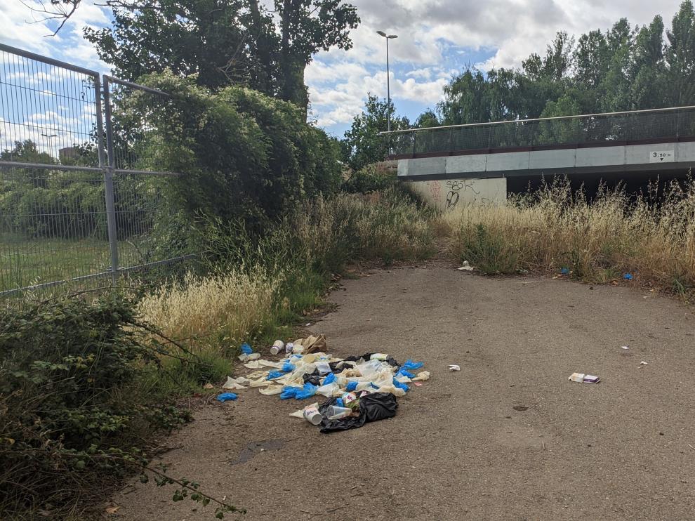 Imagen de la basura acumulada en el margen del Isuela