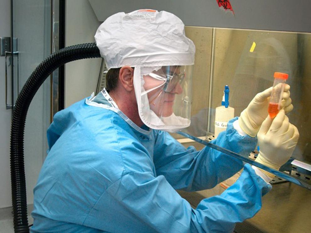 Un estudio ha determinado que los microbios son capaces de influir en la evolución de una especie.