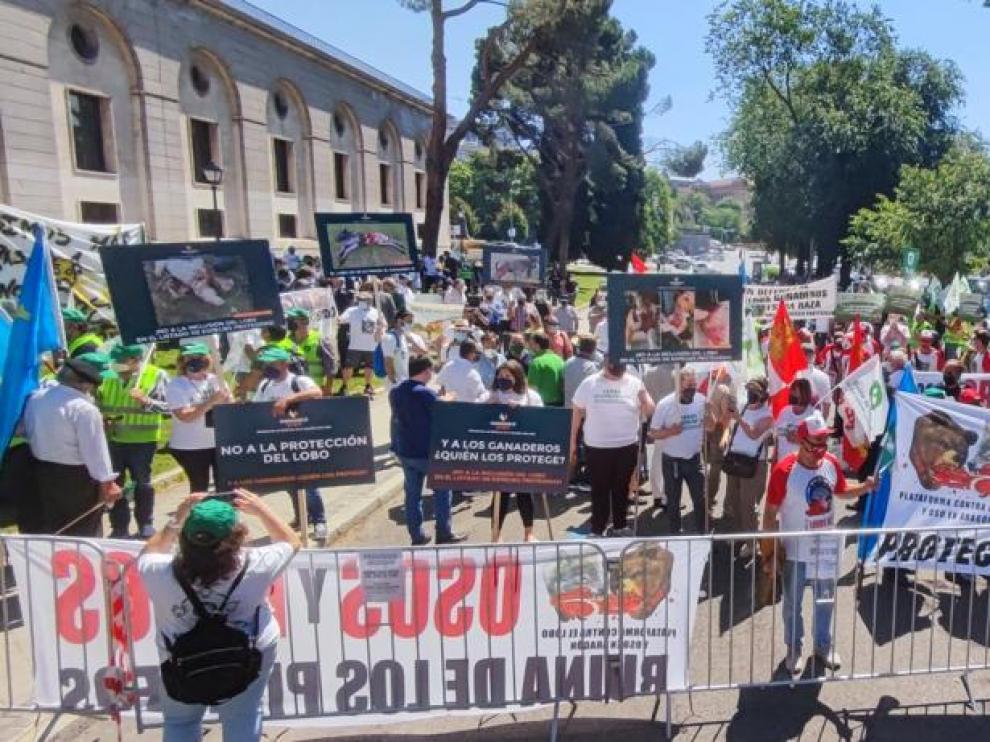 Manifestantes de Aragón en una concentración en Madrid contra la inclusión del lobo en la Lespre.