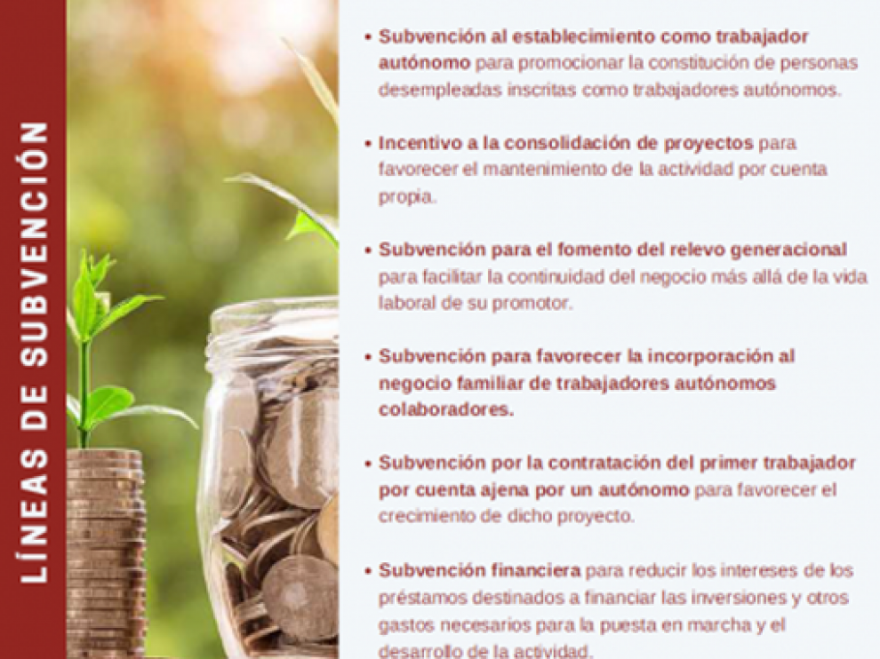 Programa para el Fomento y Consolidación del Empleo Autónomo