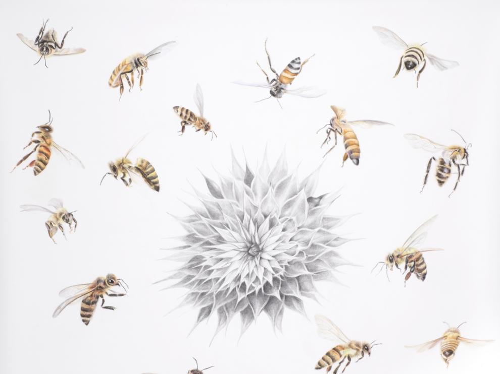 “Todos afanados como insectos procurando una compañía”, de Lina Vila