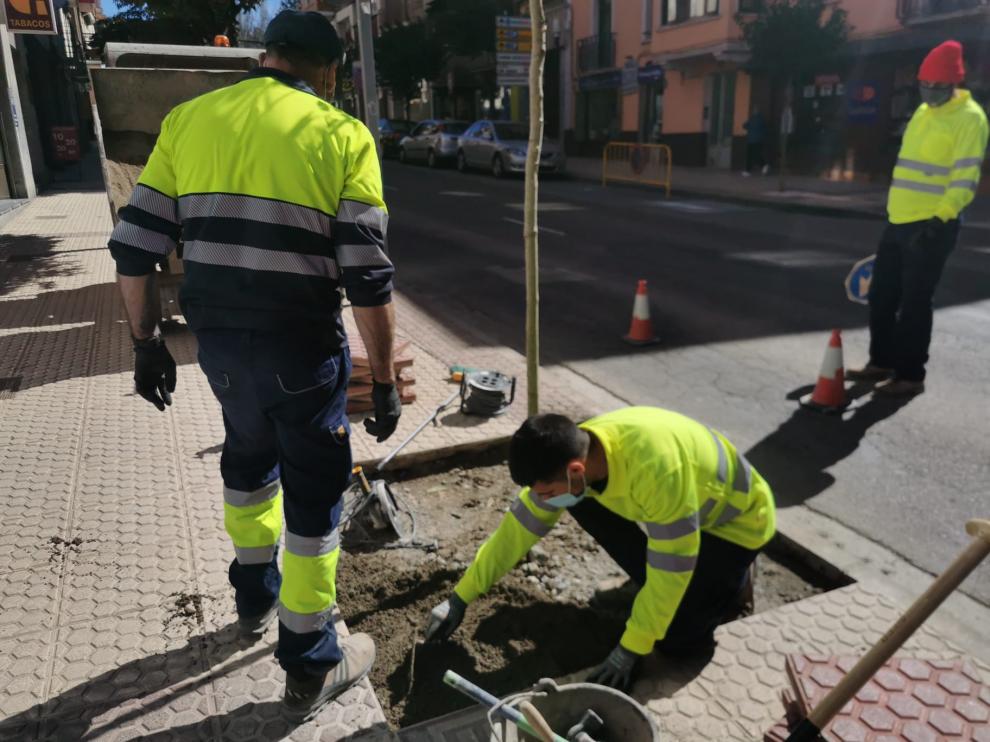 Trabajadores del Plan Remonta realizando labores de mantenimiento en la calle Serrablo de Sabiñánigo.
