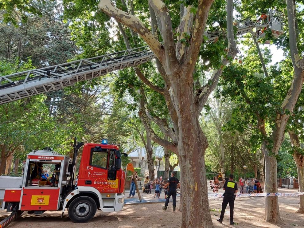 Actuación de los bomberos en el parque de Huesca.