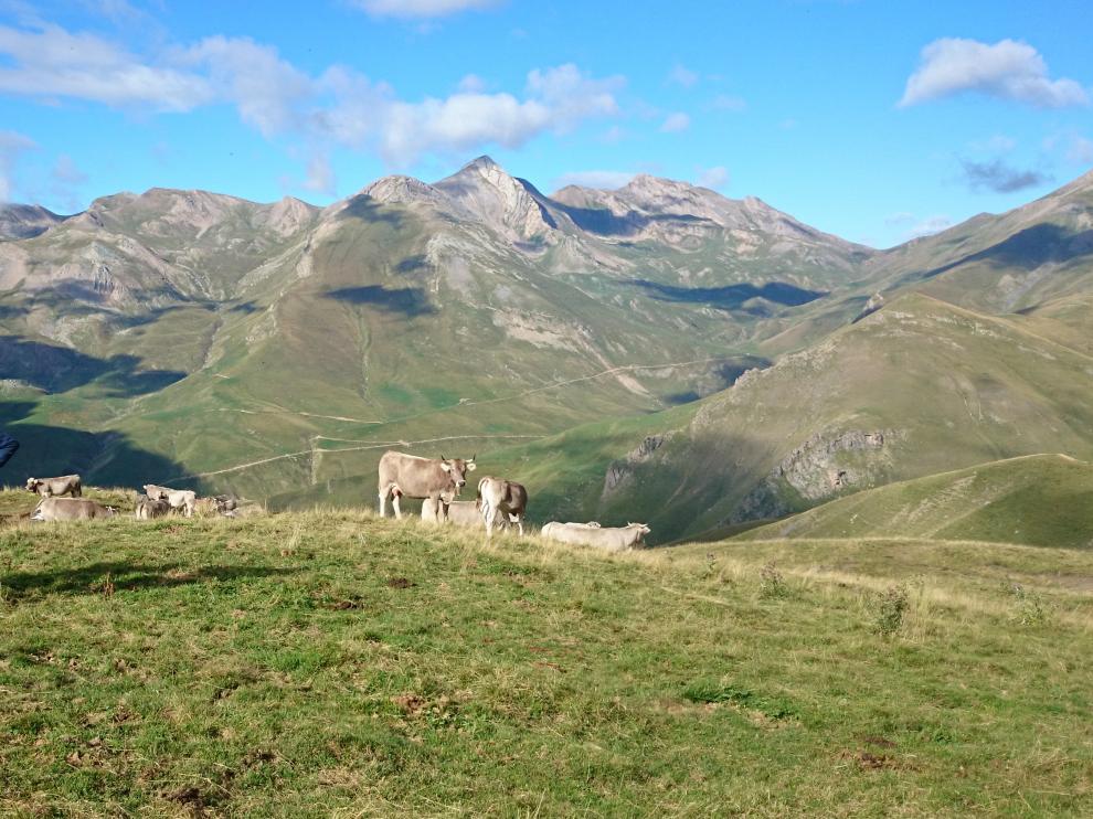 Entorno de Cerler