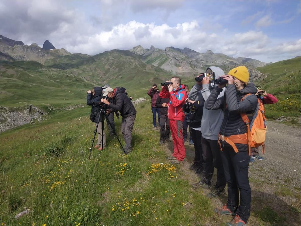 Una de las rutas del proyecto Interreg Poctefa Faunapyr.
