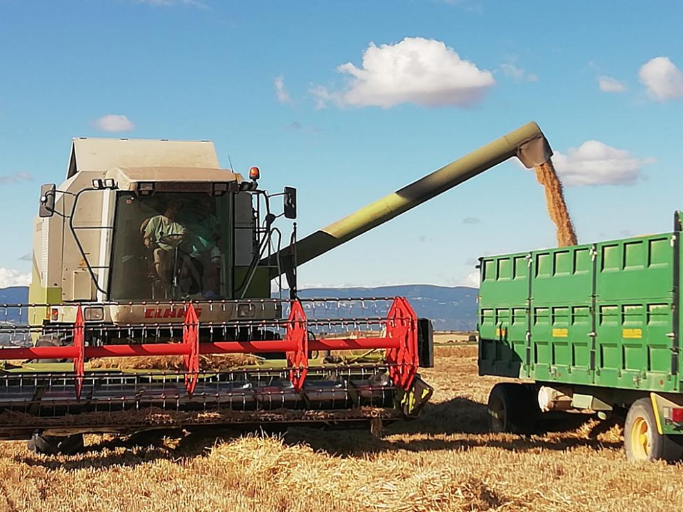 Esta decisión va a permitir una importante inyección de liquidez a los agricultores y ganaderos españoles