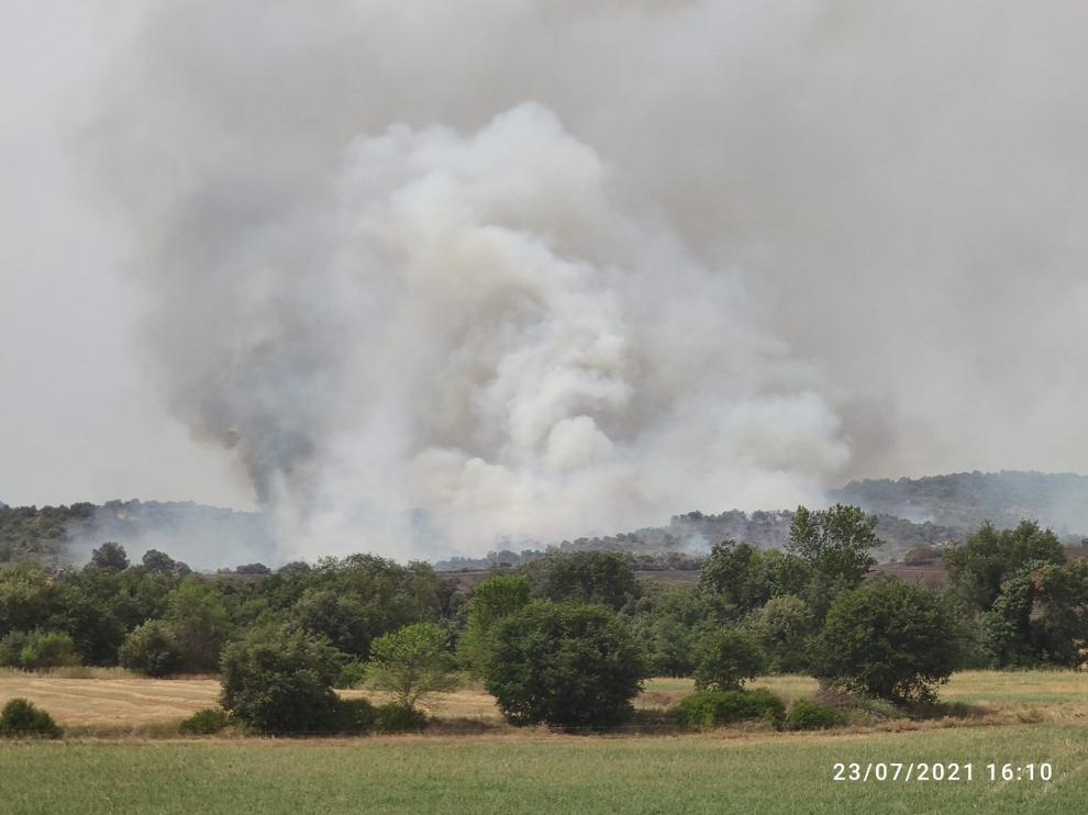 El fuego ha partido de un campo situado a unos 2 kilómetros del casco urbano.