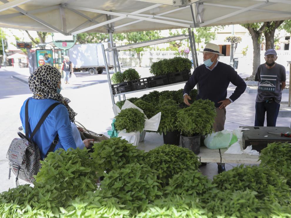 Mercadillo de albahaca en la plaza Navarra