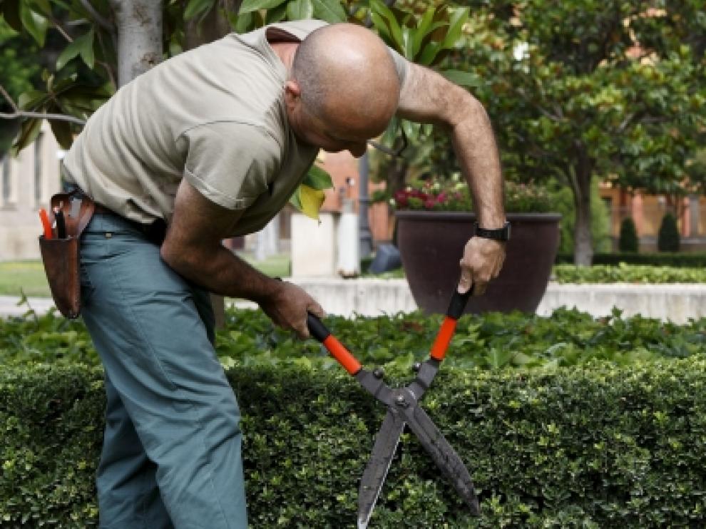 El servicio de jardinería es uno de los contratos que el Gobierno de Aragón reserva para este colectivo.