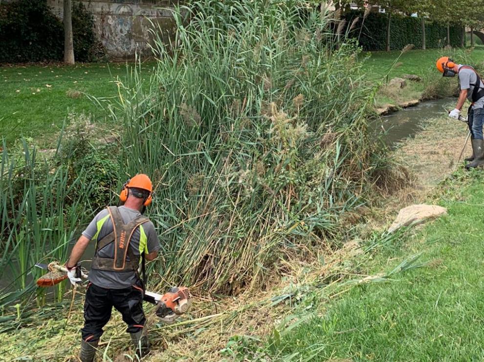 Imagen de los encargados realizando labores de limpieza en el río Sosa