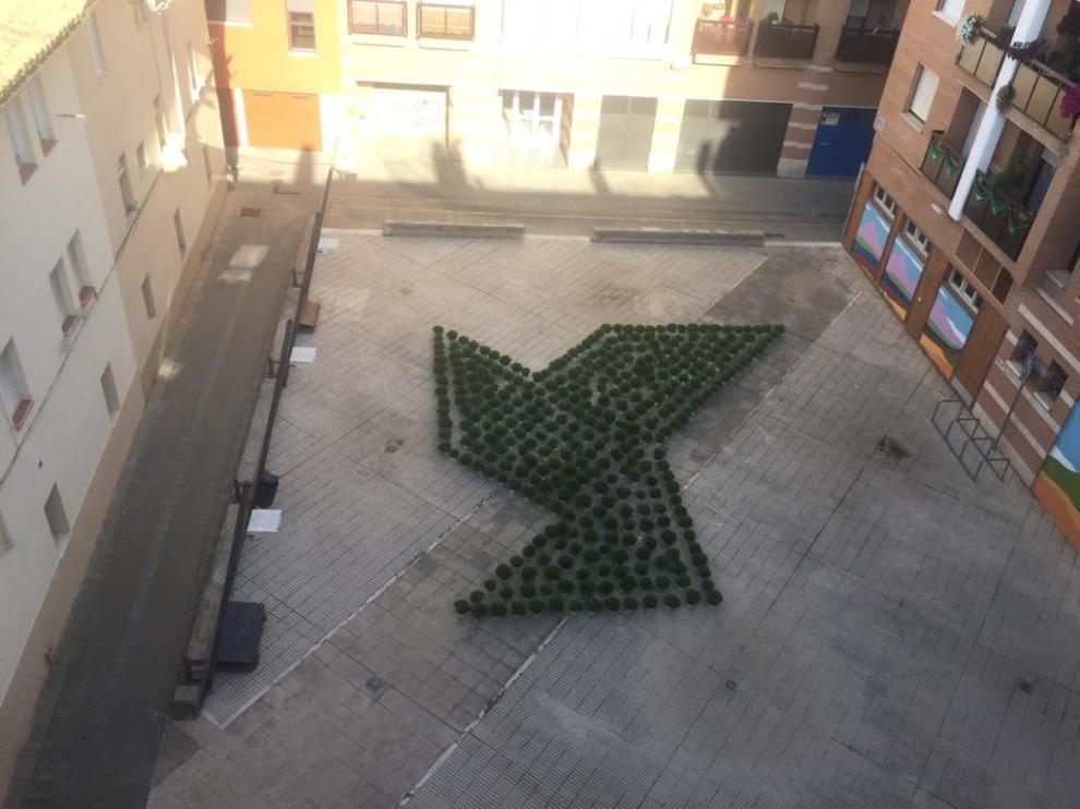 La plaza de Jara de Huesca luce una pajarita con esencia de albahaca