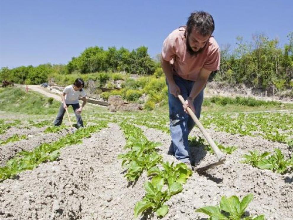 El Ministerio de Agricultura, Pesca y Alimentación ha difundido este viernes la encuesta