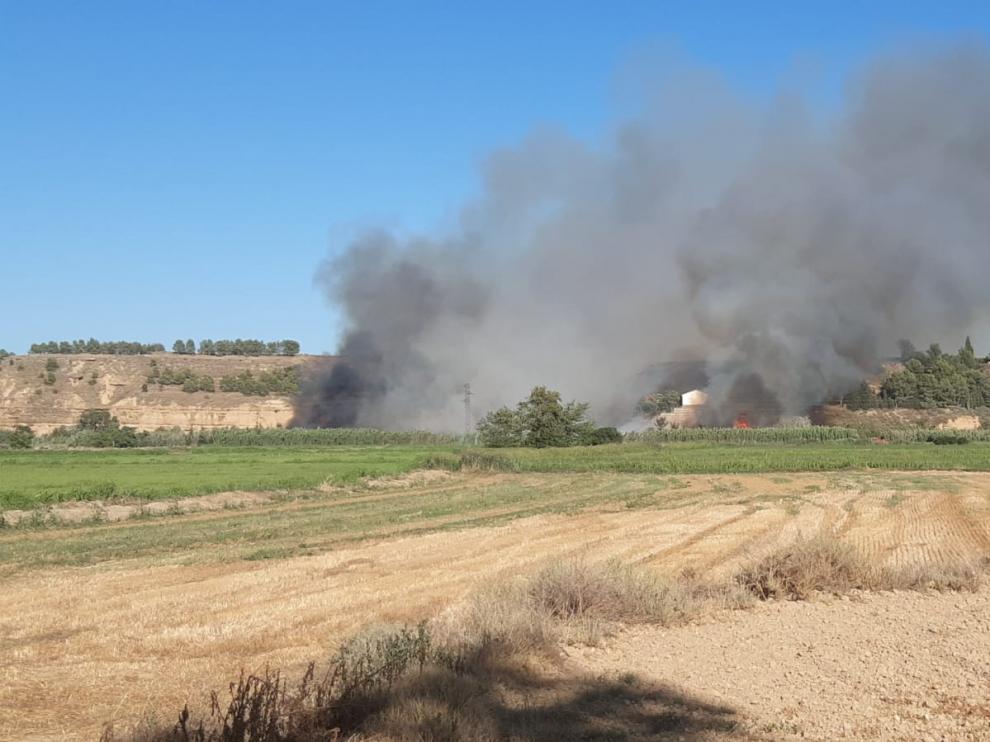 El fuego de Sariñena afectó a la ribera del Alcanadre y amenazó a una urbanización de viviendas.