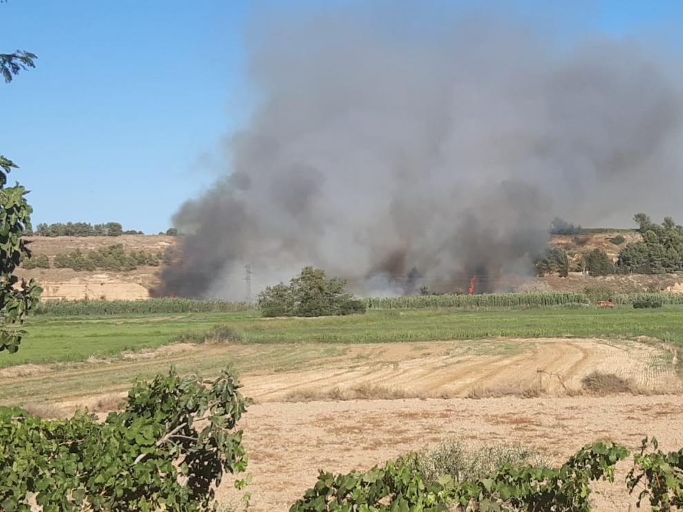 En verano con el calor hay más riesgo de incendios.