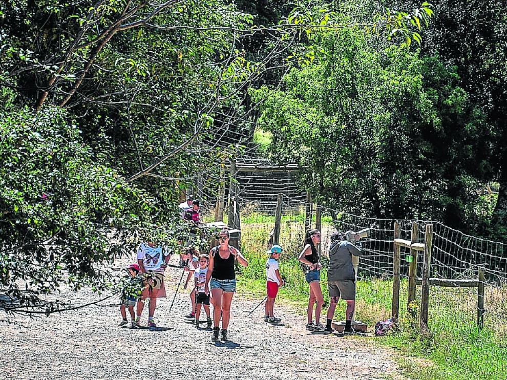 Visitantes al Parque de Lacuniacha este fin de semana.