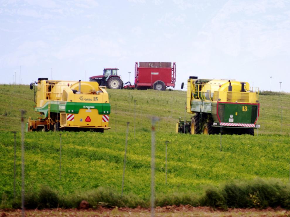 Trabajos en un campo de la provincia de Huesca