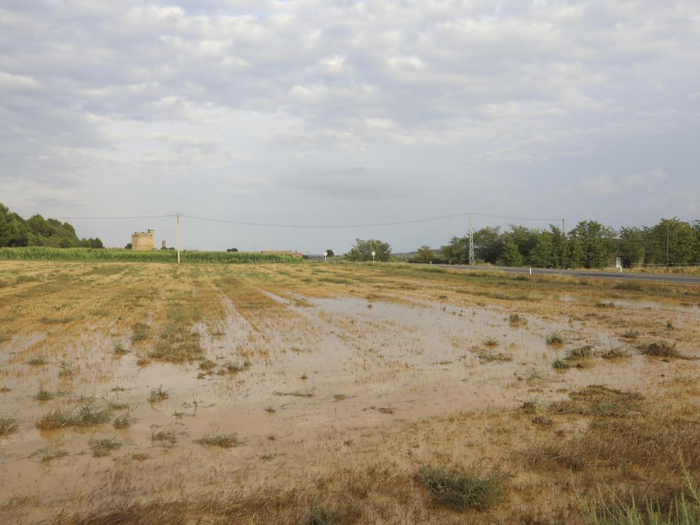 Las consecuencias de la Dana en Sena