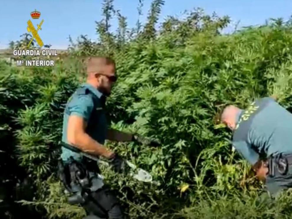 Los agentes durante la operación.
