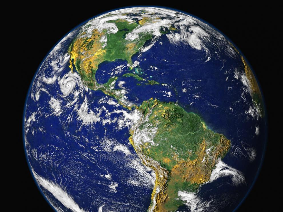 Los animales deben adaptarse y regular mejor su cuerpos a medida que aumenta la temperatura en el planeta.