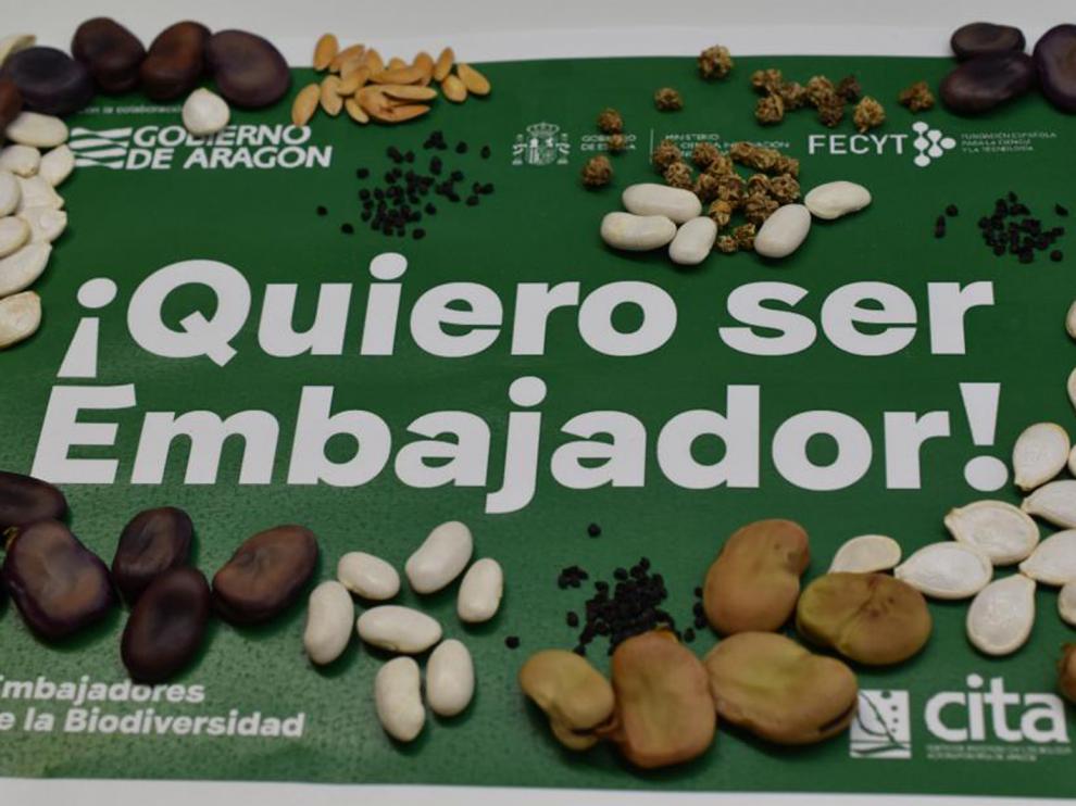 En la primera edición se cultivaron variedades de tomate, pimiento, melón o lechuga, entre otros