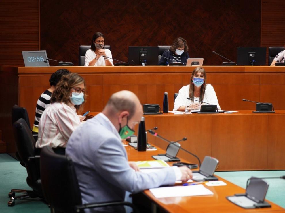 La consejera de Sanidad comparece ante las Cortes de Aragón a petición de Vox