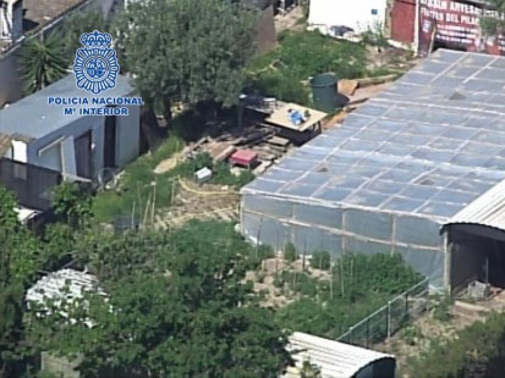Vista aérea de uno de los invernaderos en los que se cultivaba la droga.