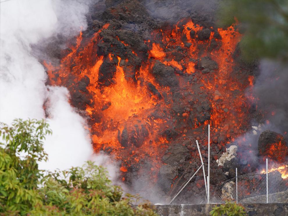 La lava sigue avanzando y asolando casas, plantas, animales y todo lo que encuentra a su paso.