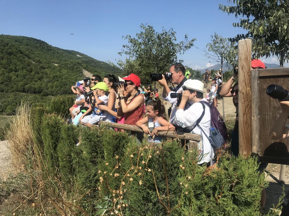 Participantes durante el avistamiento en el comedero de aves necrófagas.