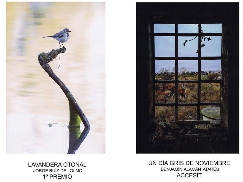 Fotografías ganadoras de la pasada edición del concurso.